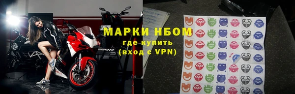 прущие грибы Богородицк