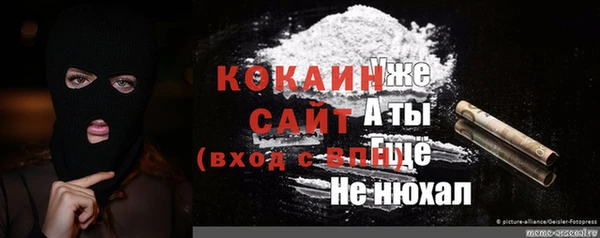 прущие грибы Богородицк