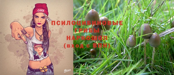 прущие грибы Богородицк