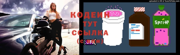 прущие грибы Богородицк