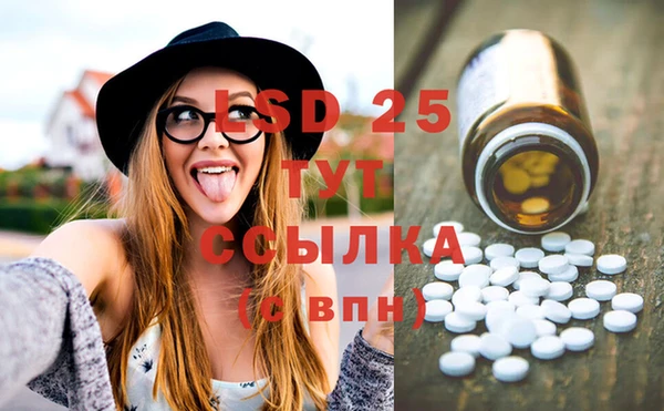 прущие грибы Богородицк