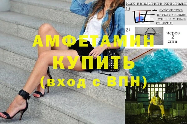 прущие грибы Богородицк
