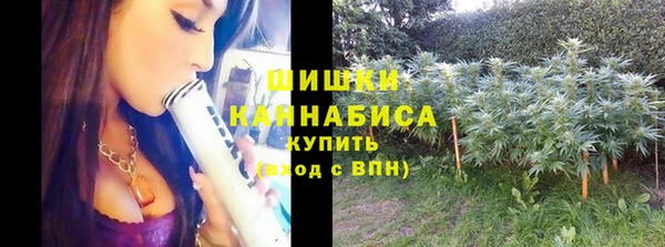 гидропоника Богородск