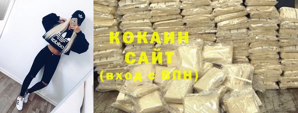 прущие грибы Богородицк
