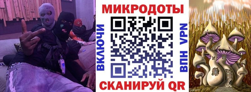 Купить где  Данилов  Псилоцибиновые грибы GOLDEN TEACHER 